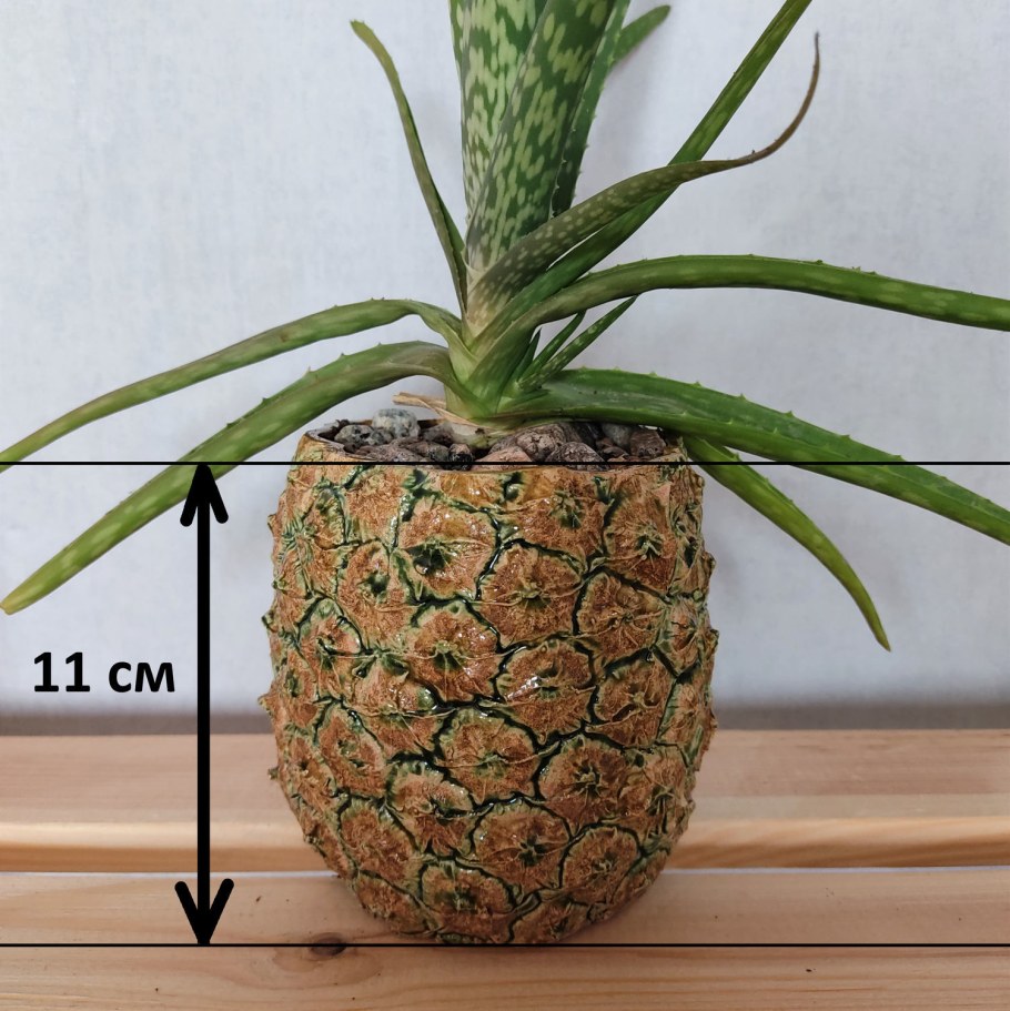 Горшок для цветов ананас