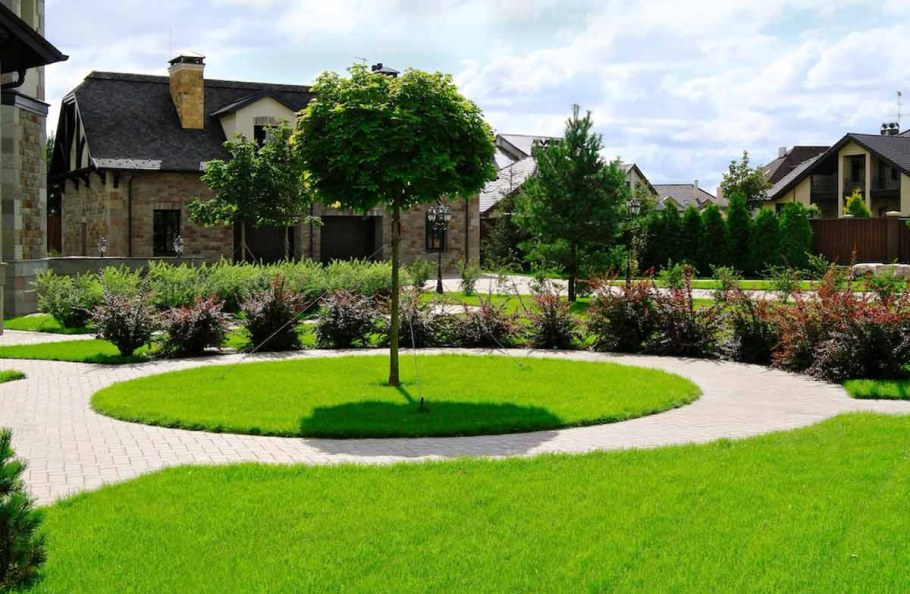 Газон элитный партерный