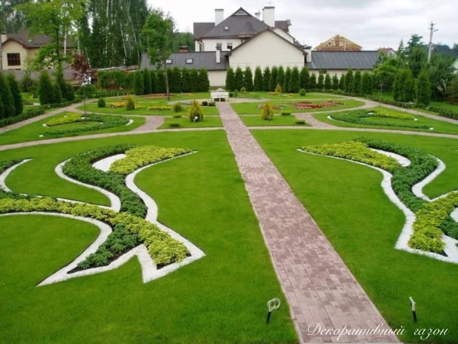 Газон элитный партерный