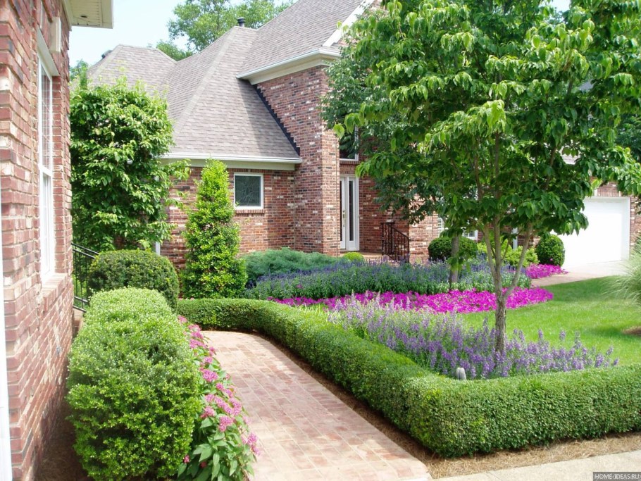 Самшит Живая изгородь