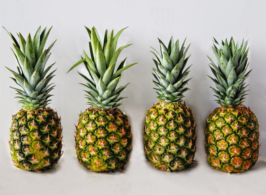 Уилсон ананас