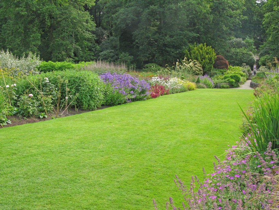 Обыкновенный садово парковый газон