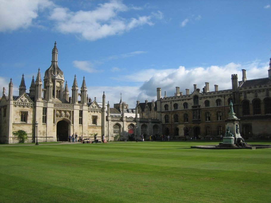 Английский классический газон