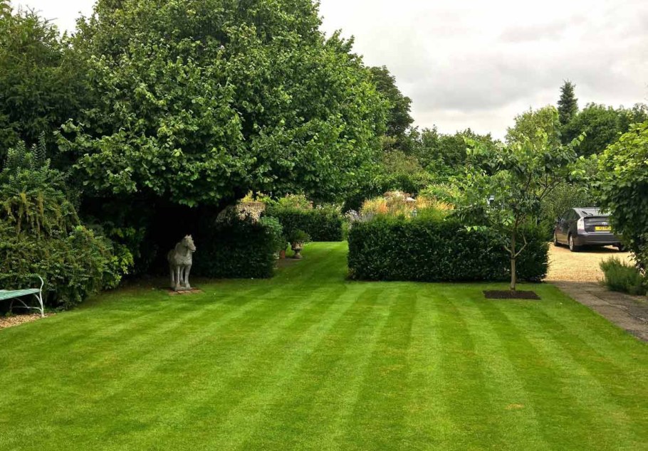 Партерный рулонный газон