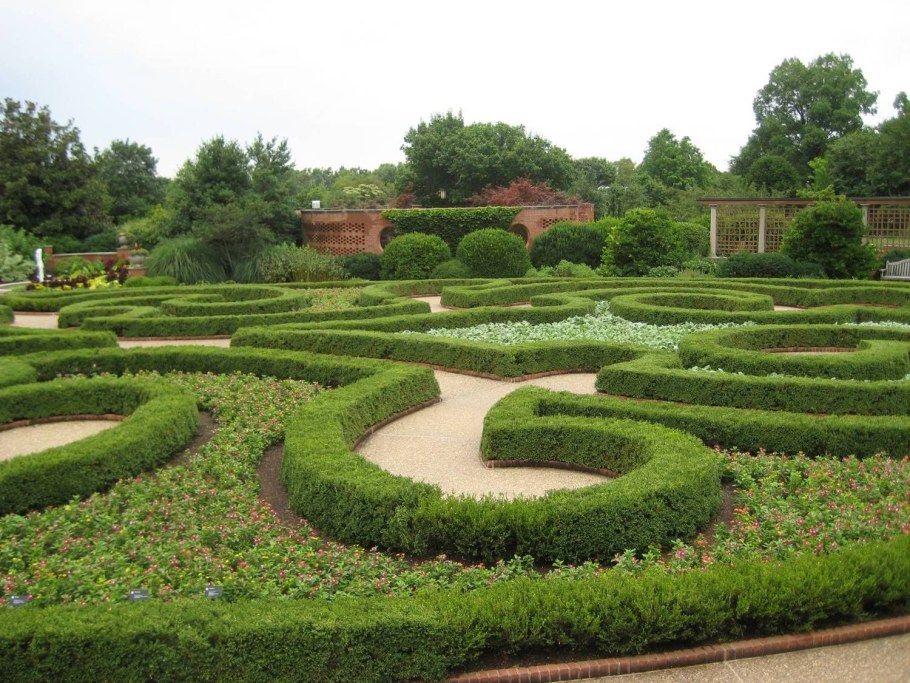 Газон партерный мавританский