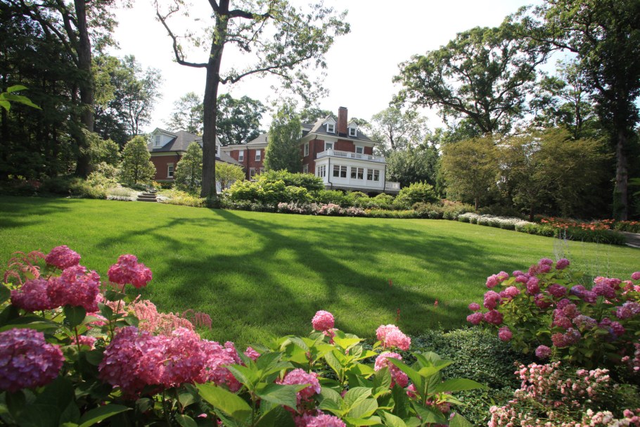 Партерный (английский) газон