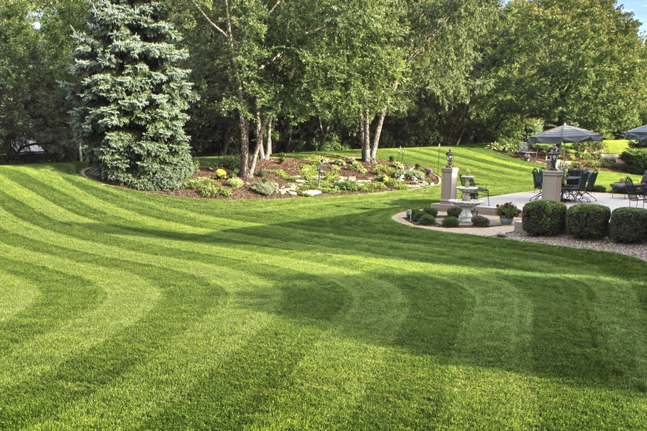 Партерный (английский) газон