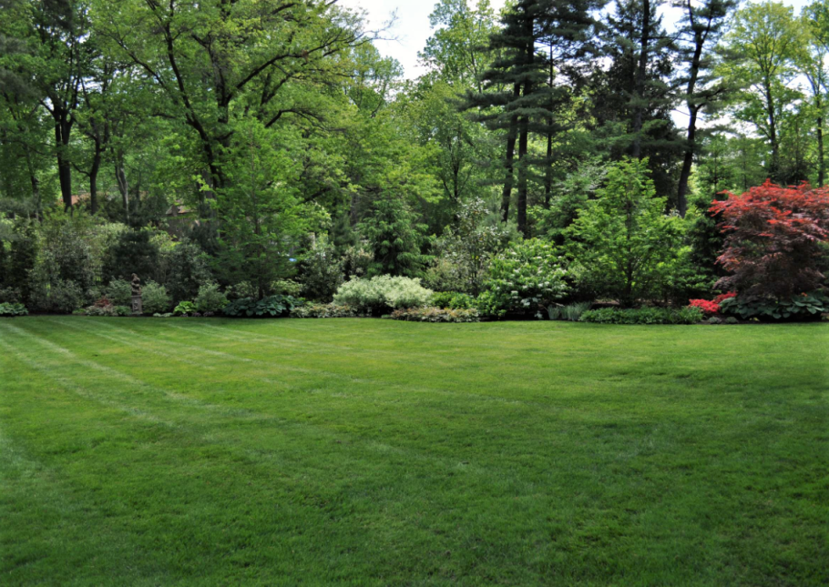 Натуралистический газон в городе
