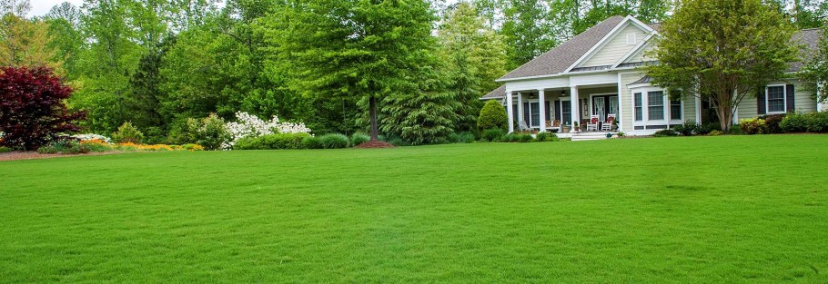 Дача панорама