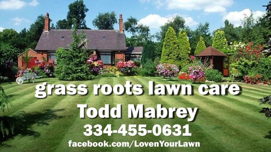 Английские знаменитые газоны