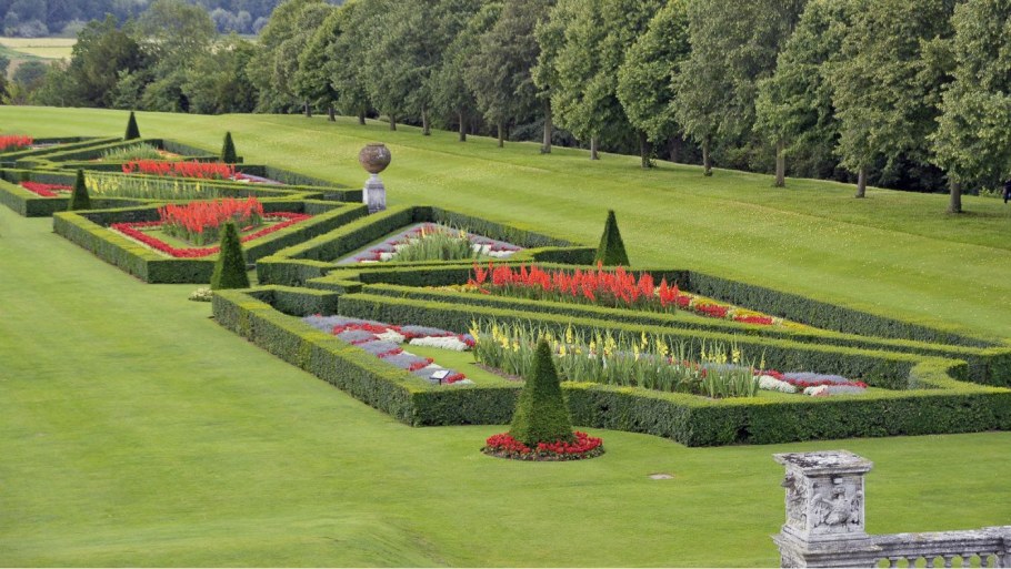 Партер клумба