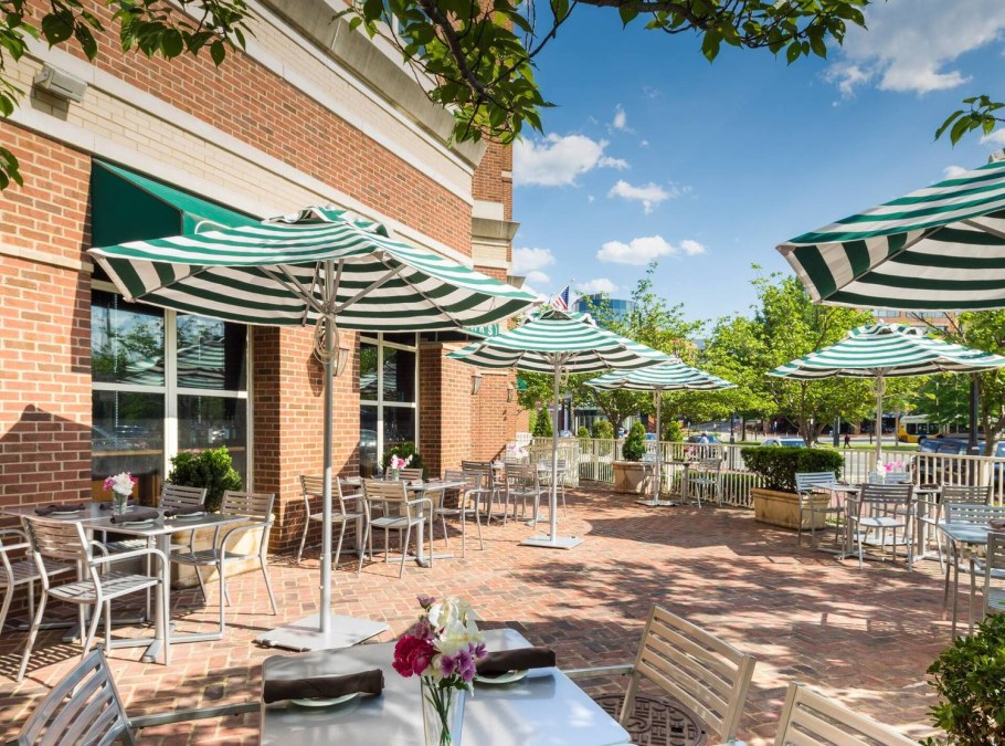 Александрия Таун фото