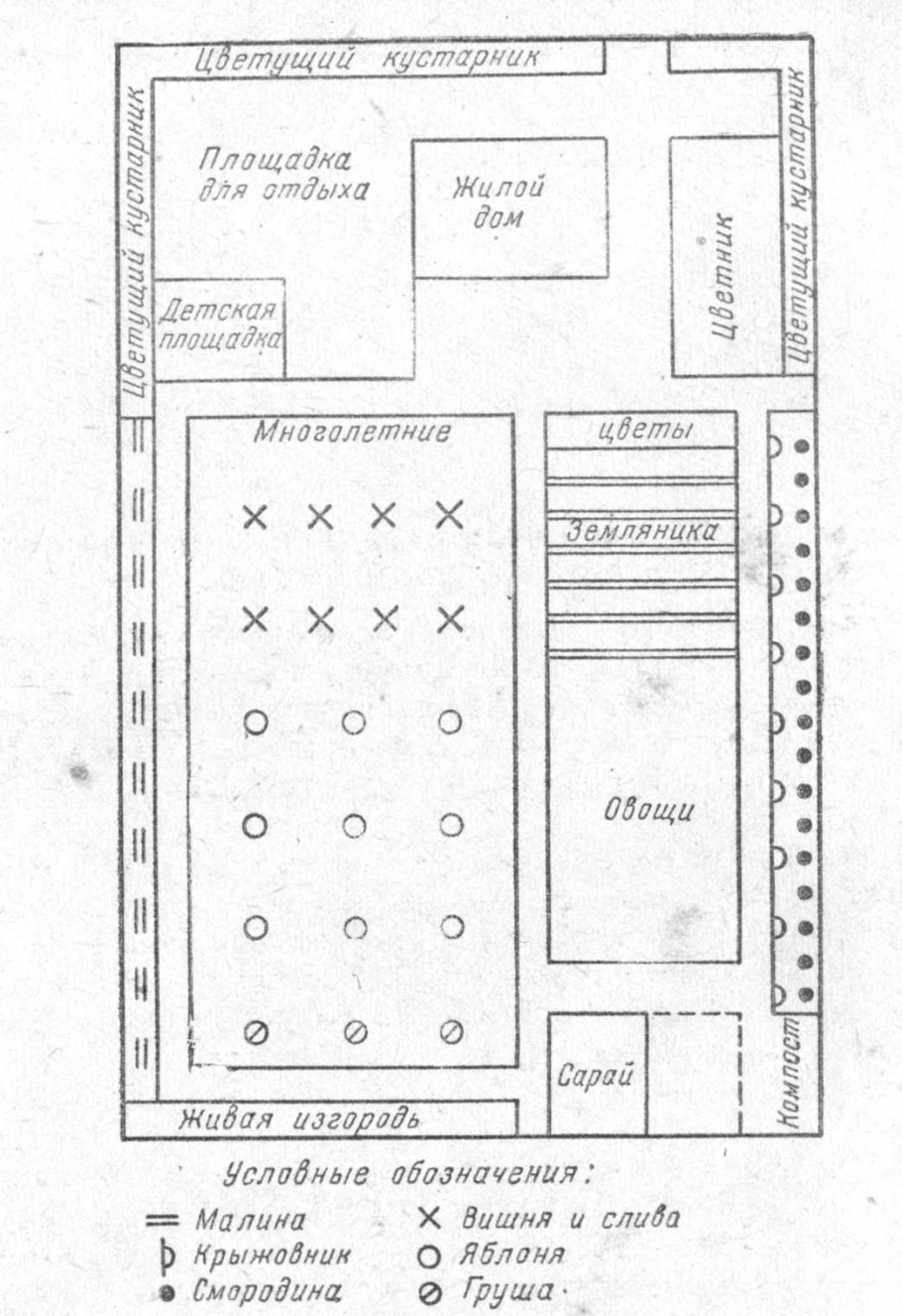 Схема посадки плодовых деревьев и кустарников