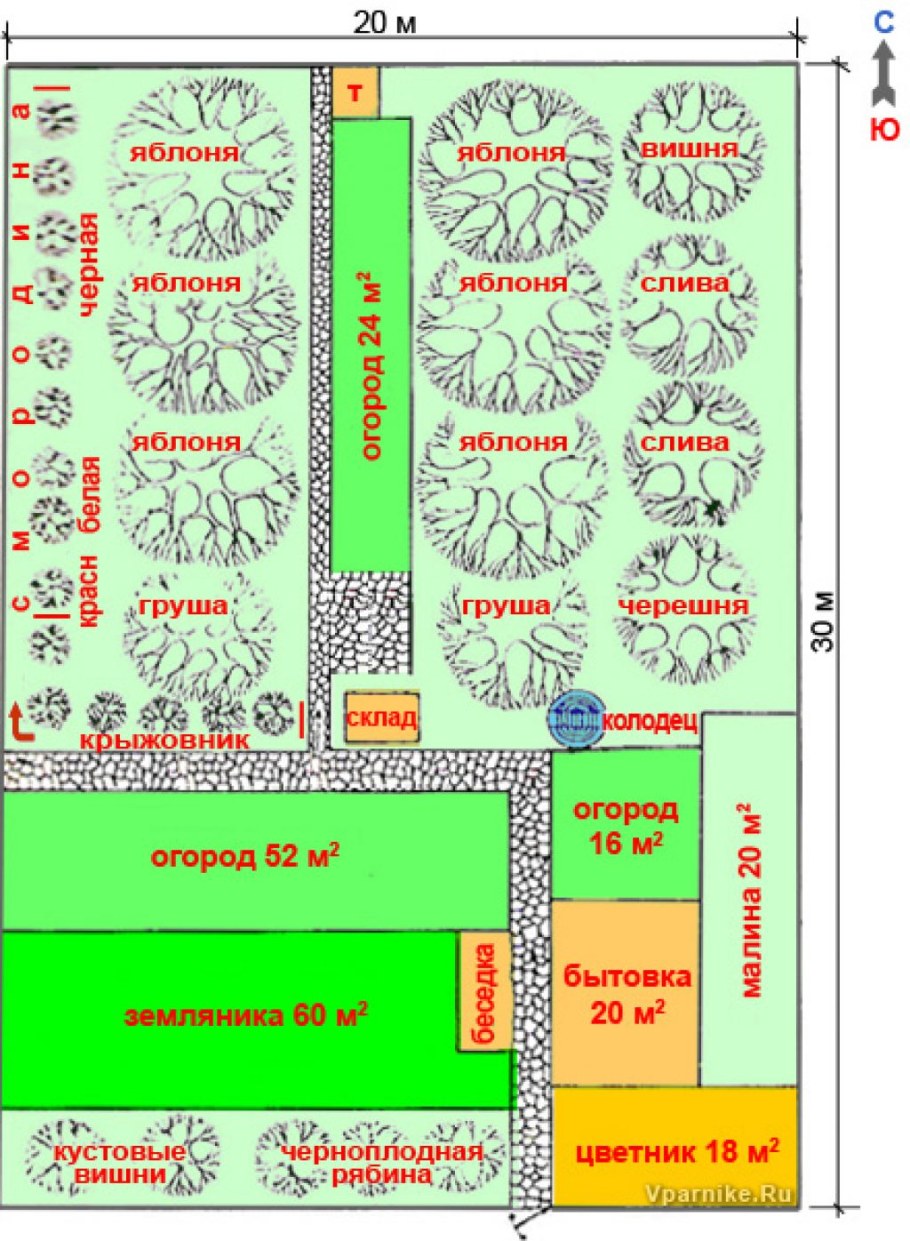 Как правильно разместить плодовые деревья и кустарники на участке (75 фото)  - красивые картинки и HD фото
