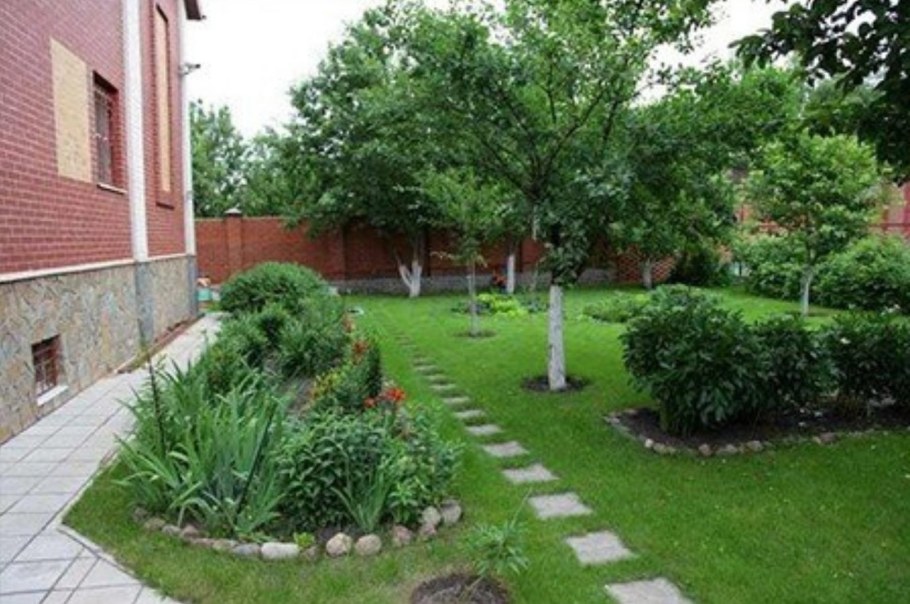 Ландшафт с плодовыми деревьями