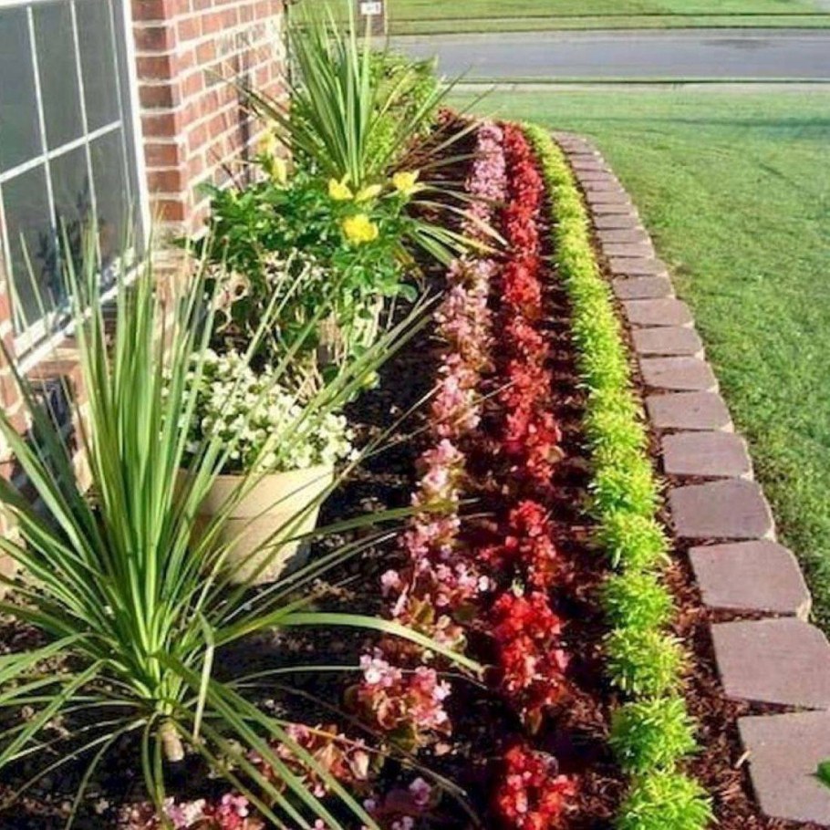 Рабатка Тунберга