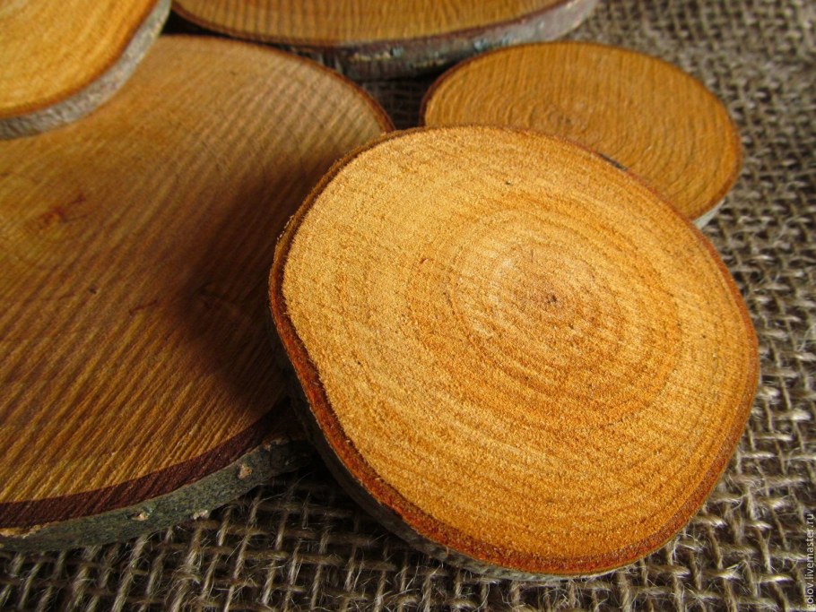 Деревянный срез для декора