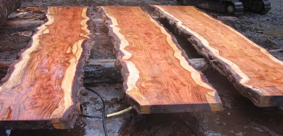 Секвойя слэб