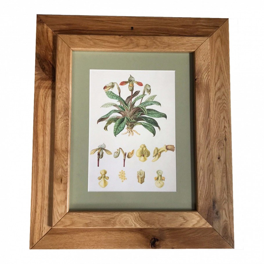 Паспарту с листьями