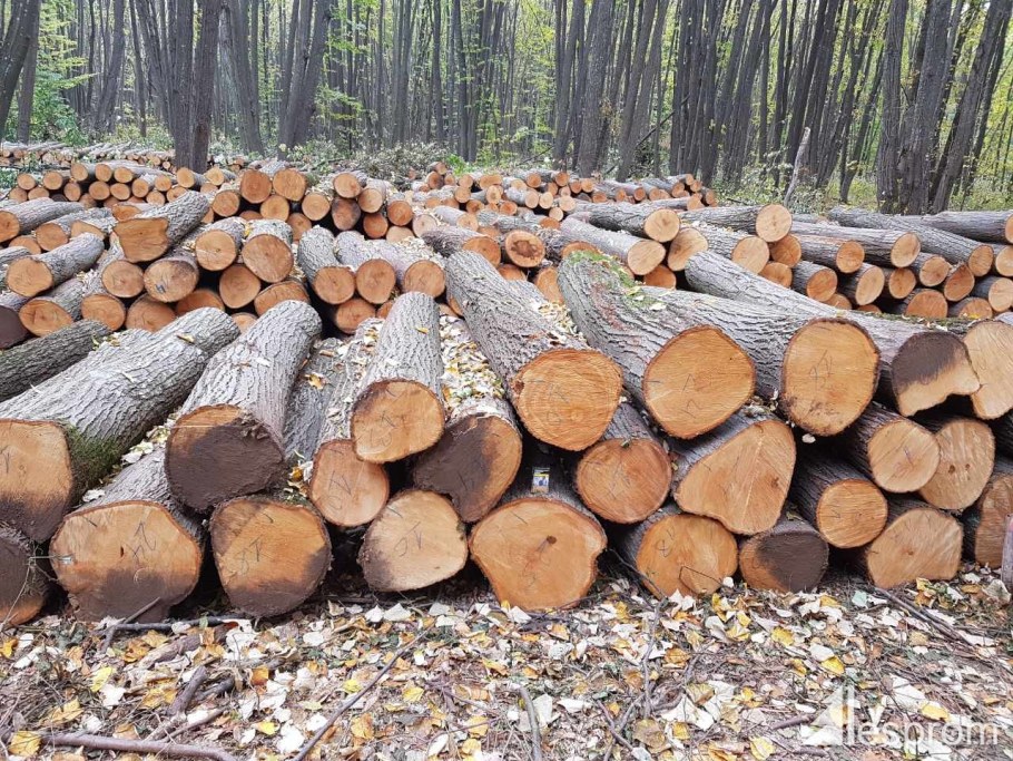 Дровяная береза кругляк