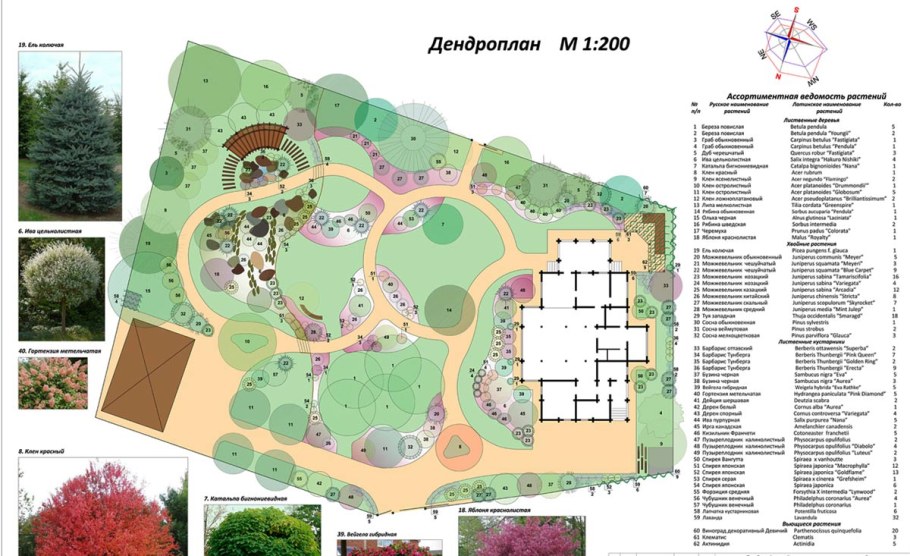 Дендро план приусадебного участка