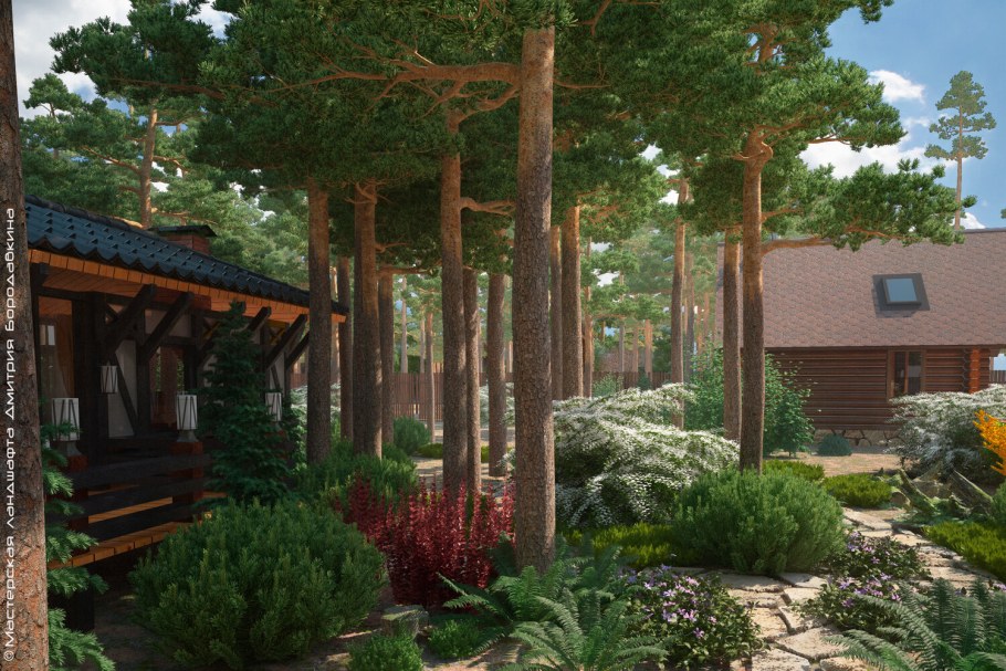 Мастерская ландшафта Дмитрия Бородавкина