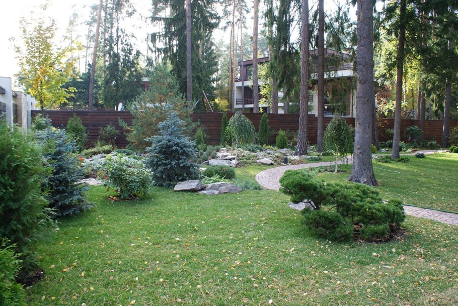 Ландшафт лесного участка с соснами Урал