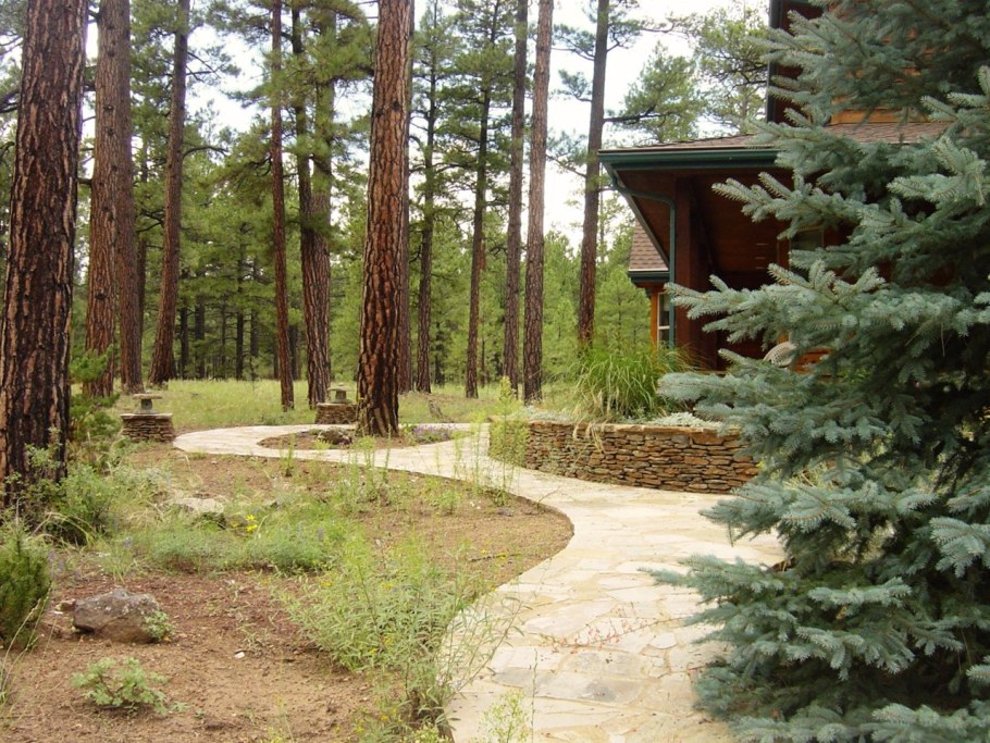 Парк Сосновый Бор Подольский район