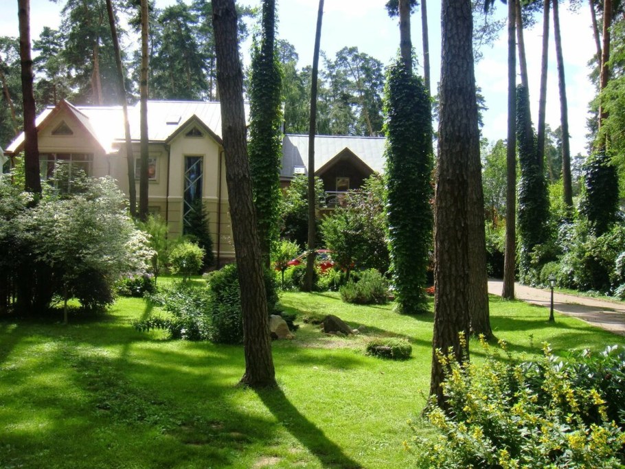 Ландшафт участка с соснами