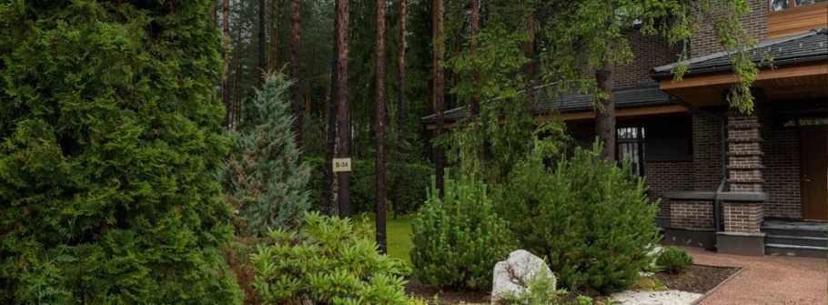 Планировка участка с соснами