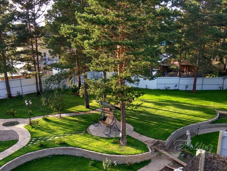 Ландшафт с соснами