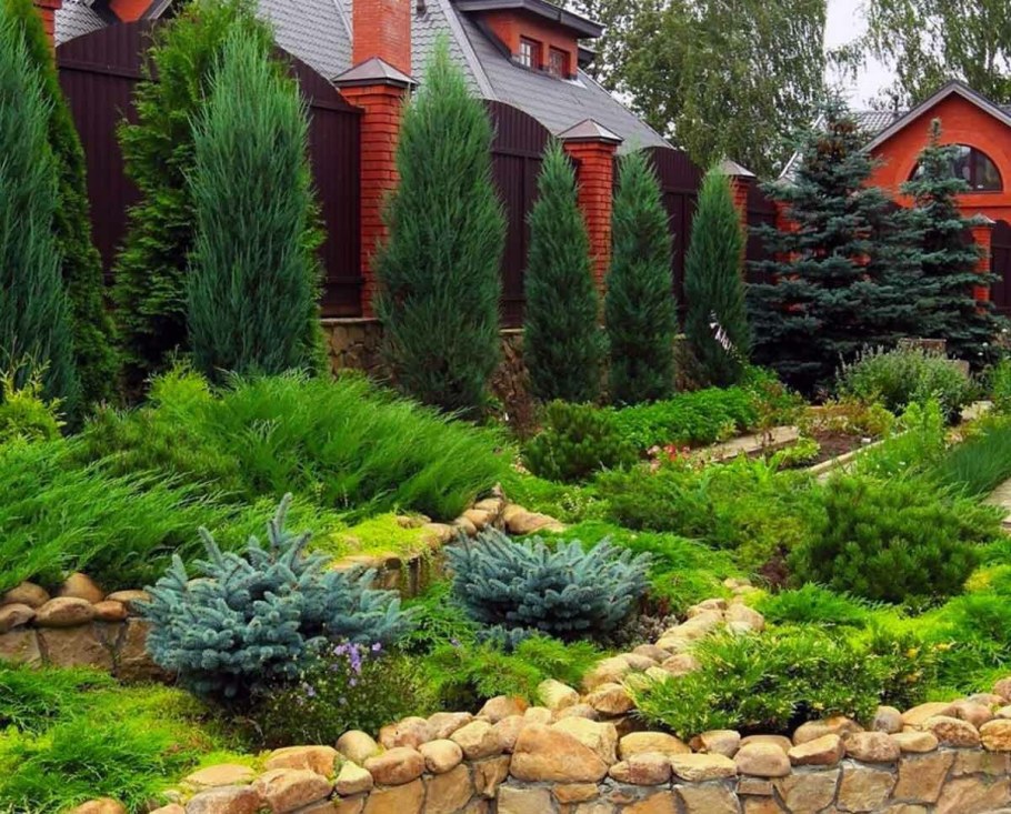 Хвойный рокарий миксбордер