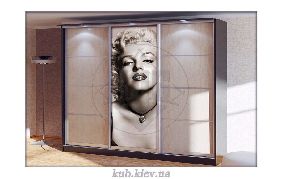 Шкаф купе Мерлин 5
