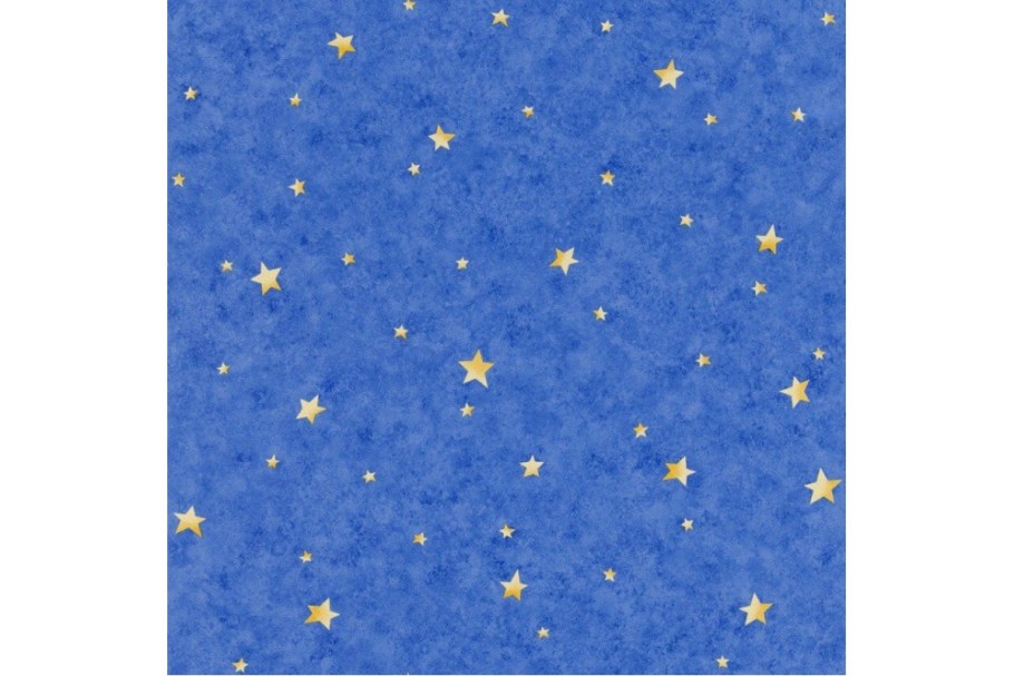 Обои бумажные Rasch piccolo