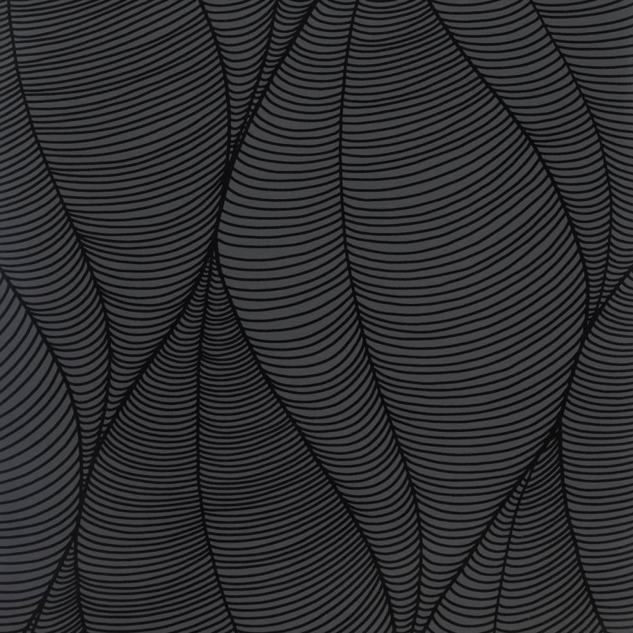 Обои 23 Haspra 23 Raven