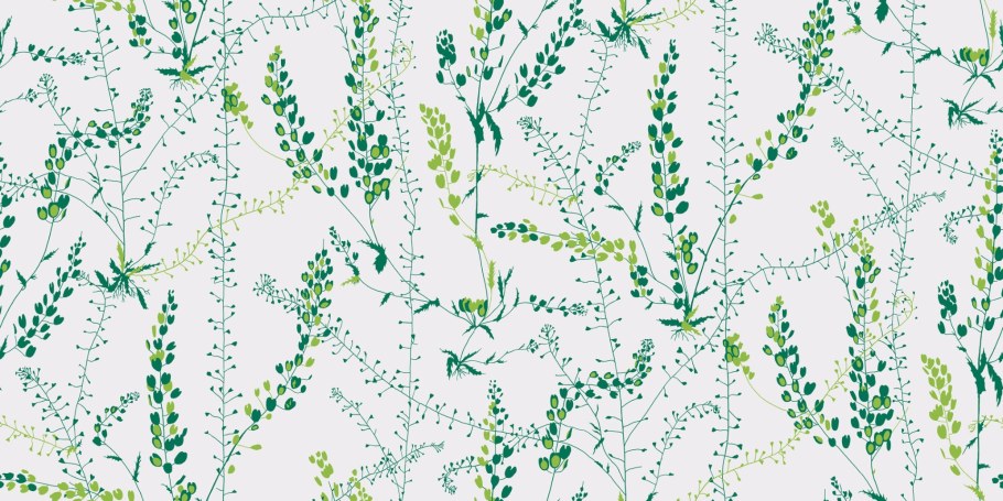 Обои Borastapeter Herbarium