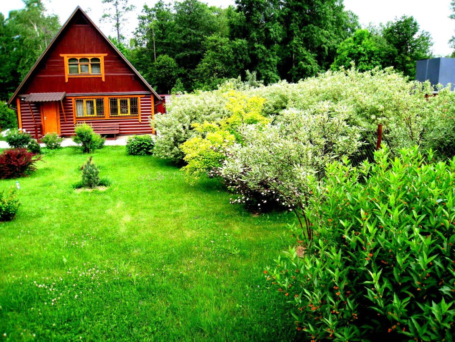 Дачный участок без домика