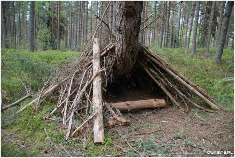 Укрытие из веток