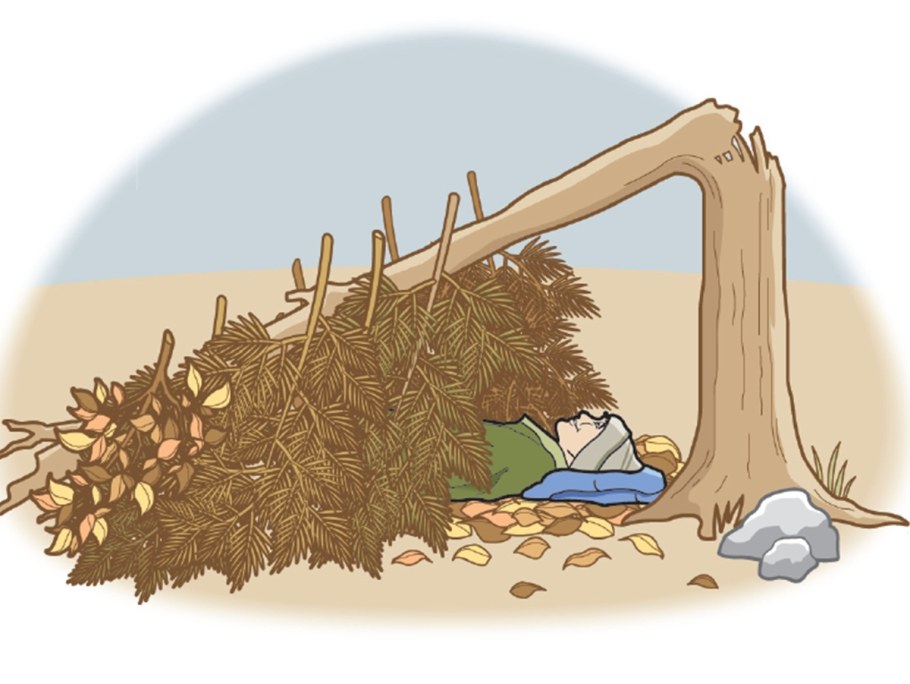 Шалаш под деревом