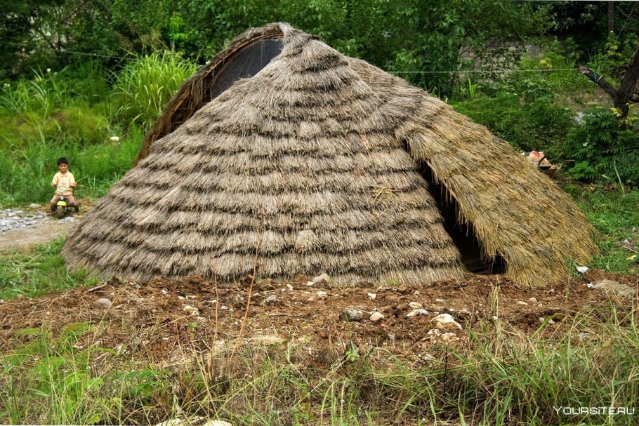 Шалаш из тростника