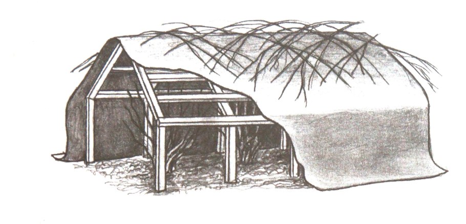 Воздушно-сухое укрытие для роз
