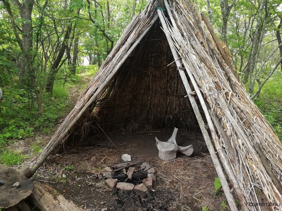 Екатериновского городища Палеодеревня