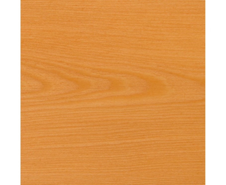 Бук структура древесины