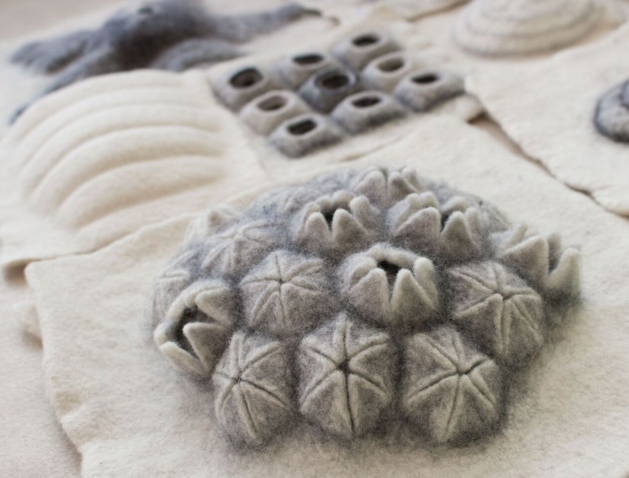 Шибори в войлоке