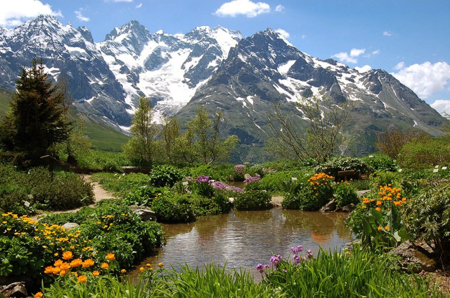 Альпийские Луга Альпы