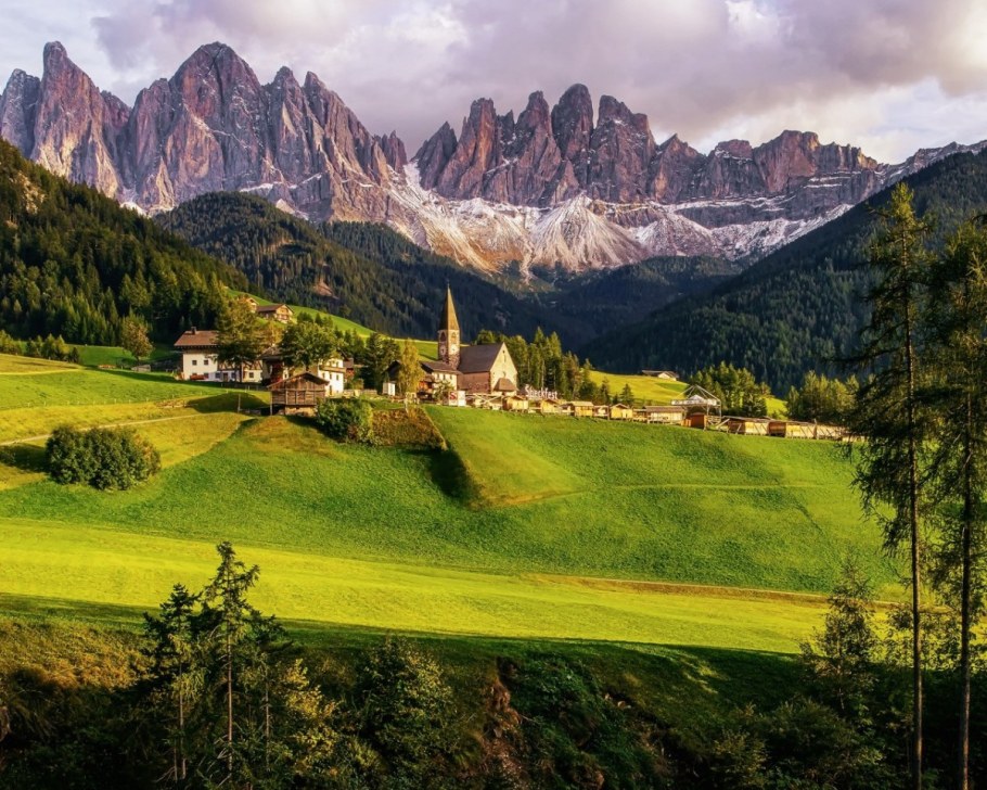 Швейцария Альпы лес