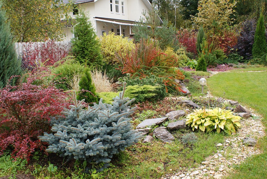 Хвойно Вересковый миксбордер