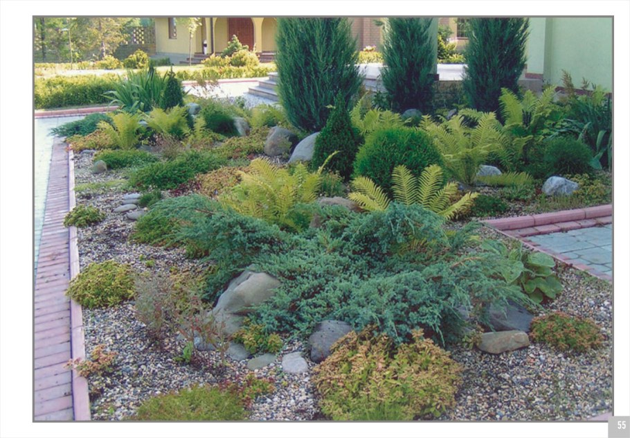 Альпийская горка с можжевельником казацким