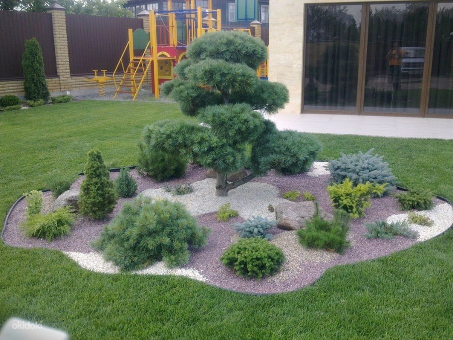 Рокарий хвойники хвойники