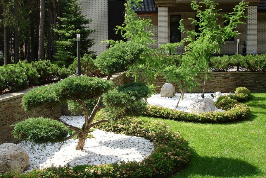 Рокарий с ниваки